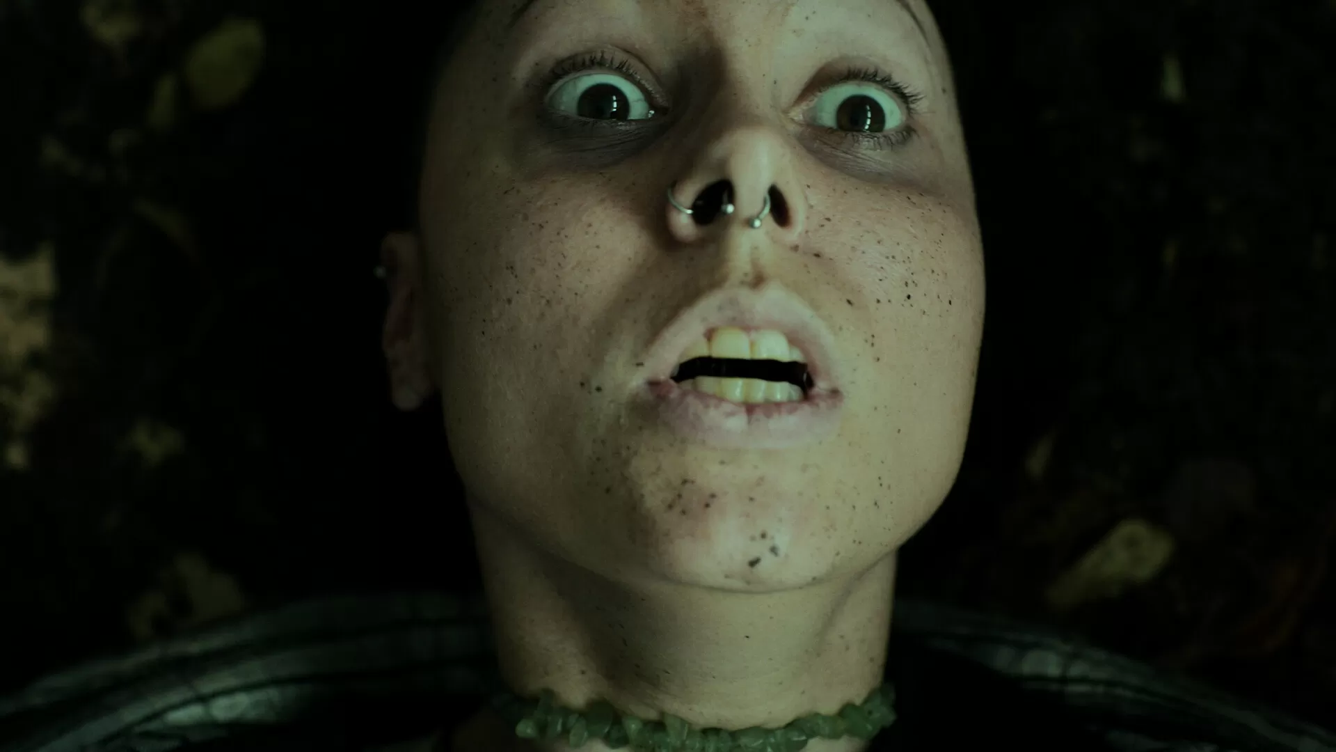 幽林深处/Heart of the Forest 幽林深处/Heart of the Forest