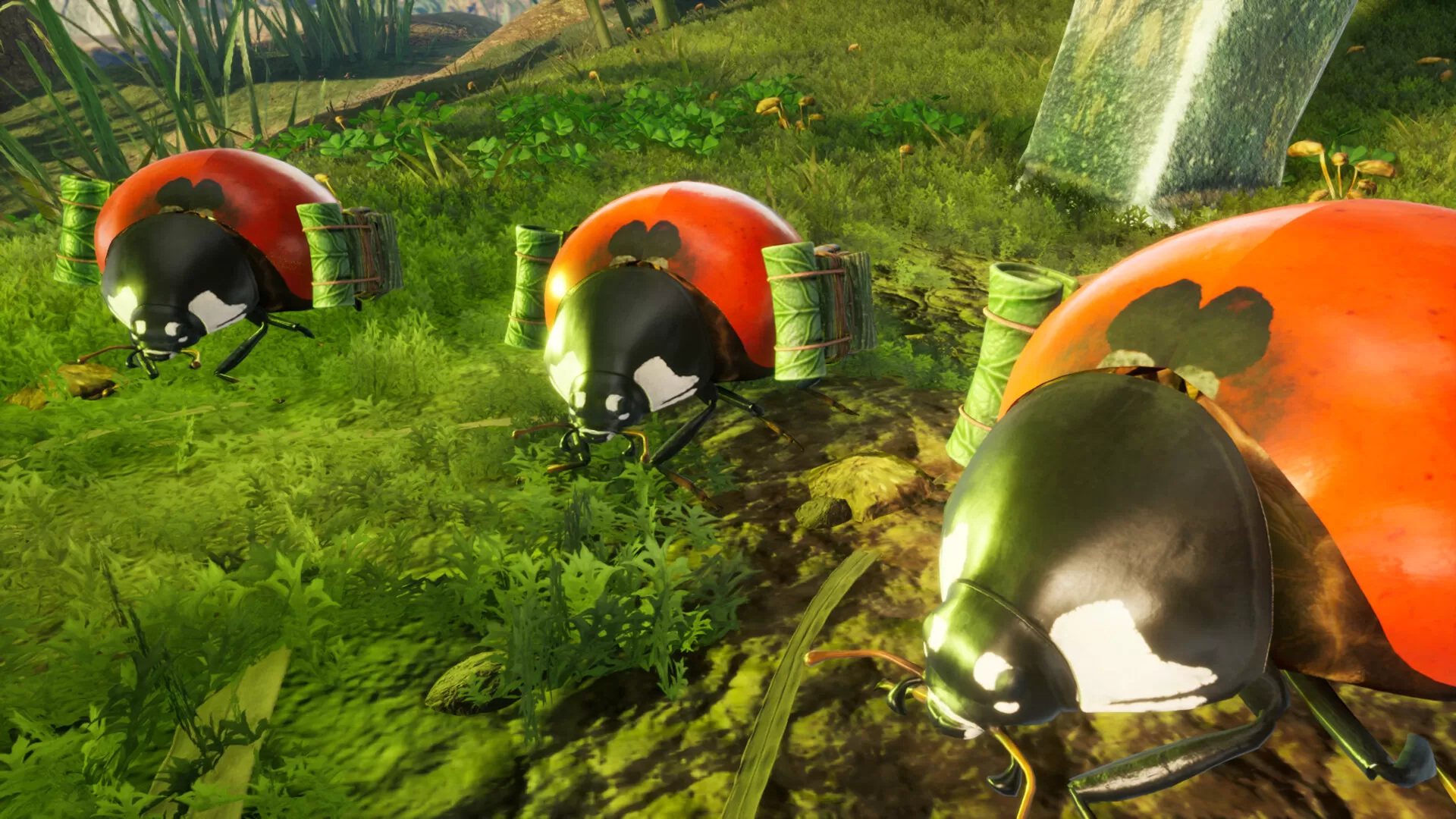 1644274420385689.jpg