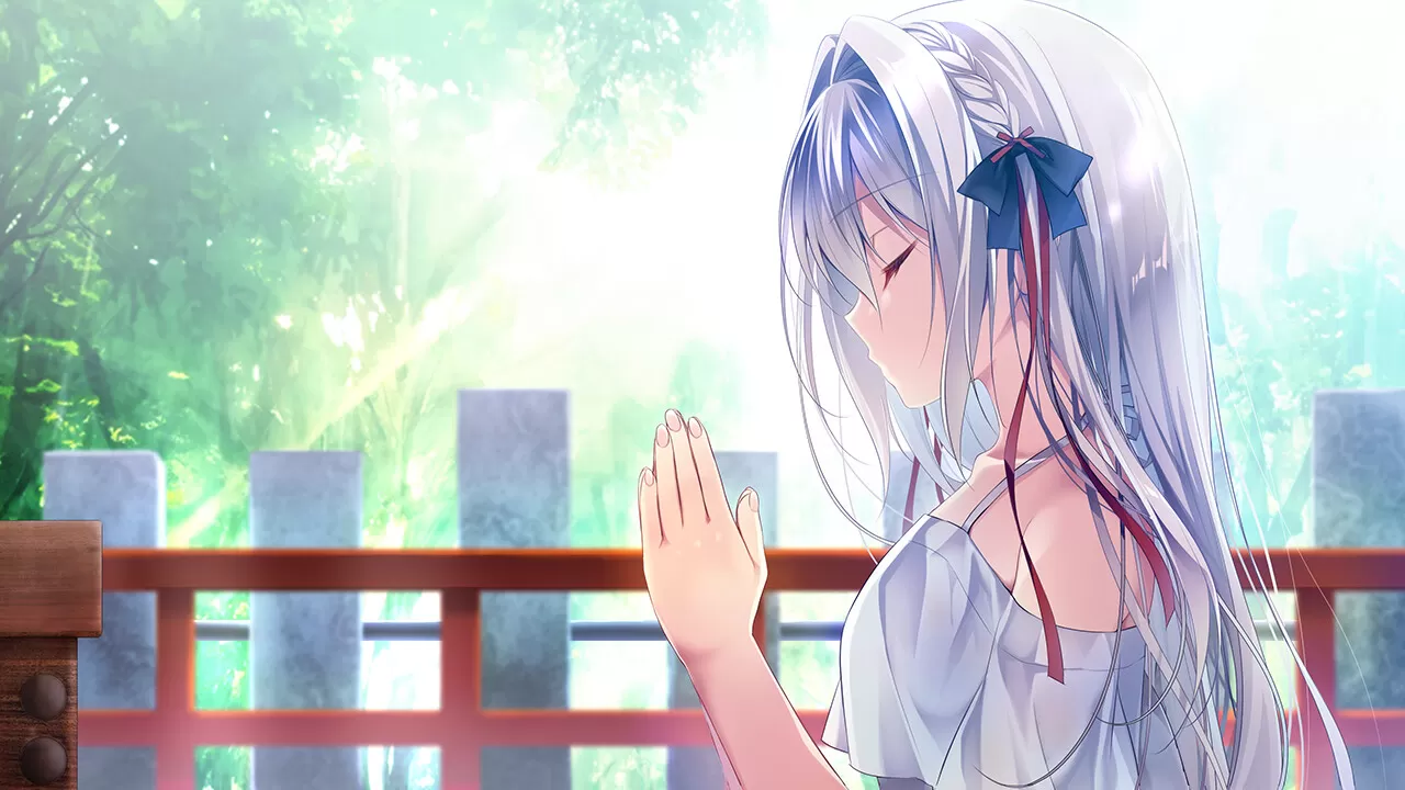 流星 -a wish star-/流る星 -a wish star- 流星 -a wish star-/流る星 -a wish star-
