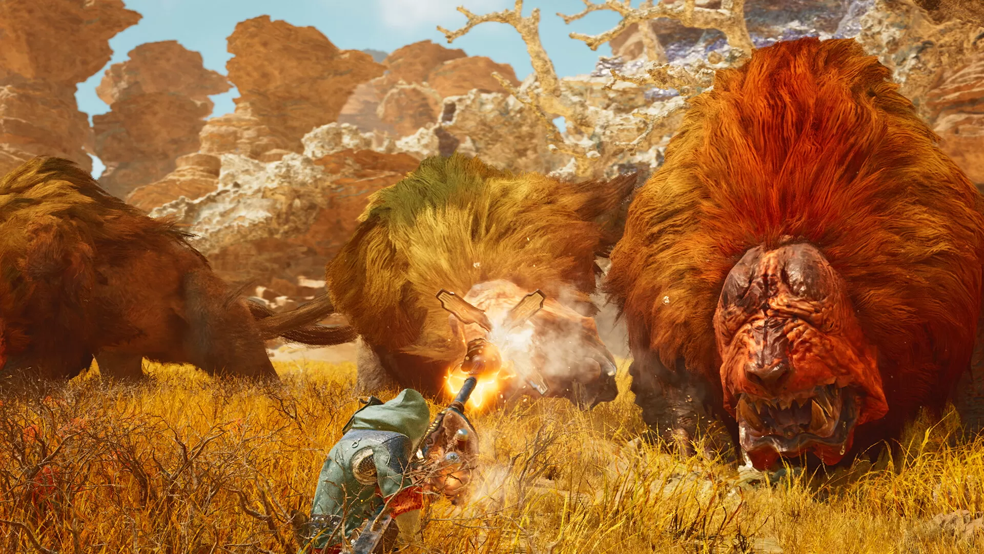 怪物猎人:荒野/Monster Hunter Wilds 怪物猎人:荒野/Monster Hunter Wilds