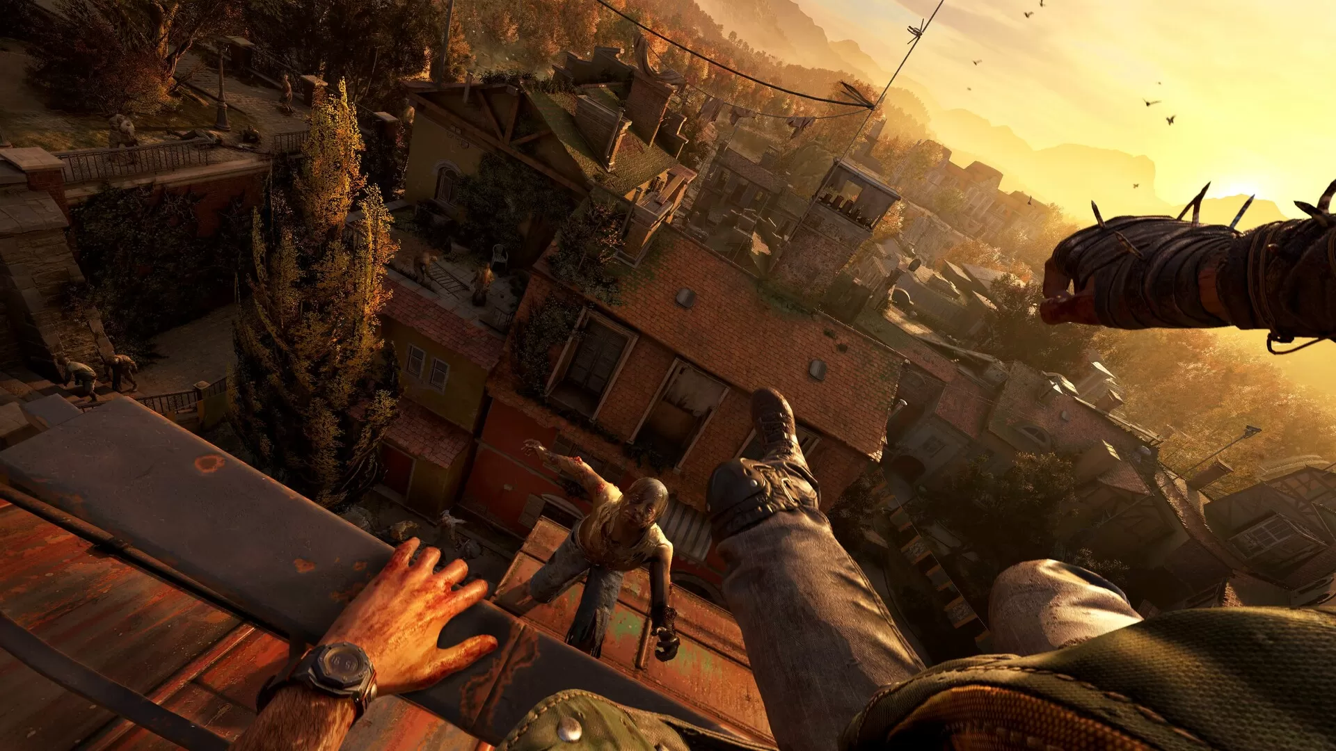 消逝的光芒:困兽失地复苏版/Dying Light: The Beast Restored Land 消逝的光芒:困兽失地复苏版/Dying Light: The Beast Restored Land