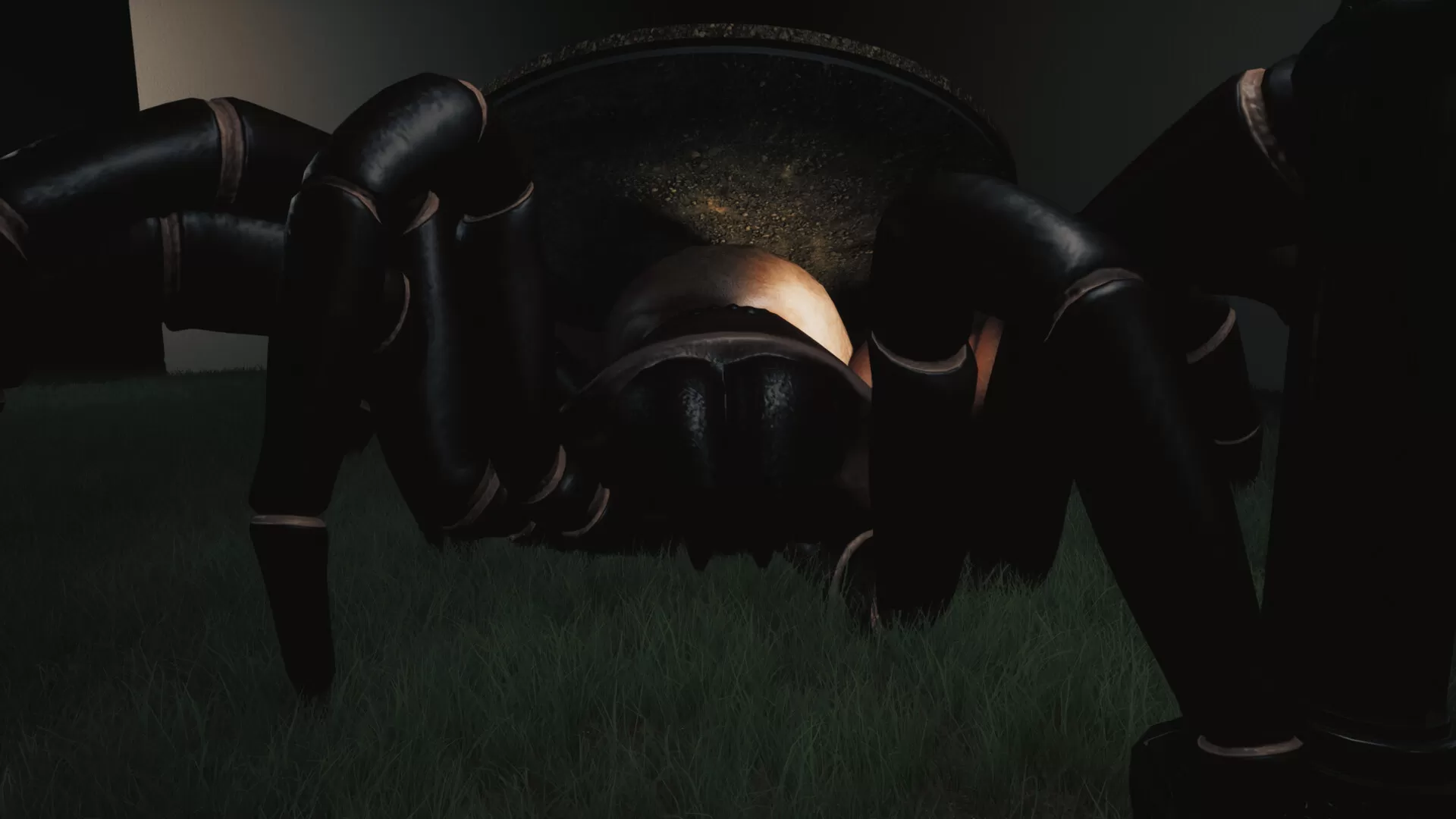 巨蛛猎手/Huntsman 巨蛛猎手/Huntsman