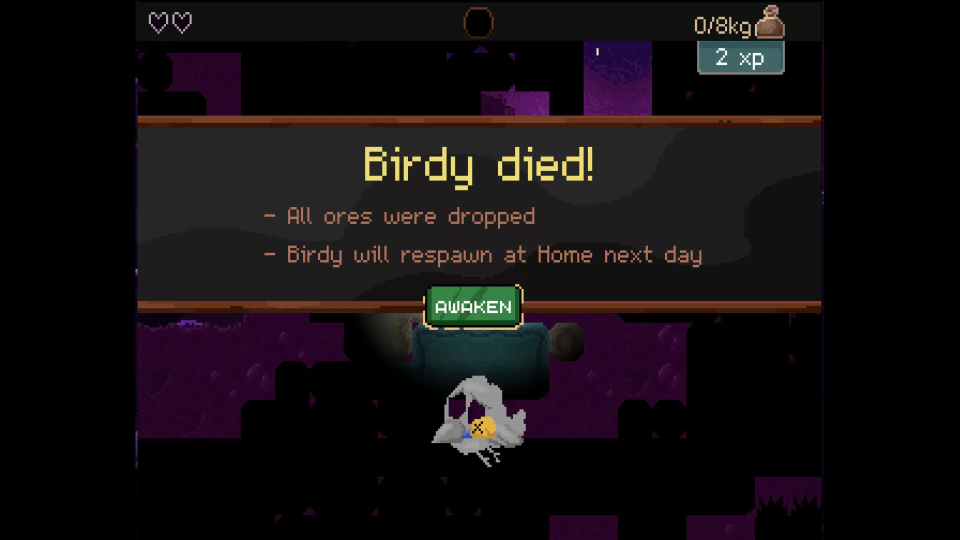钻头鸟/Drill Bird