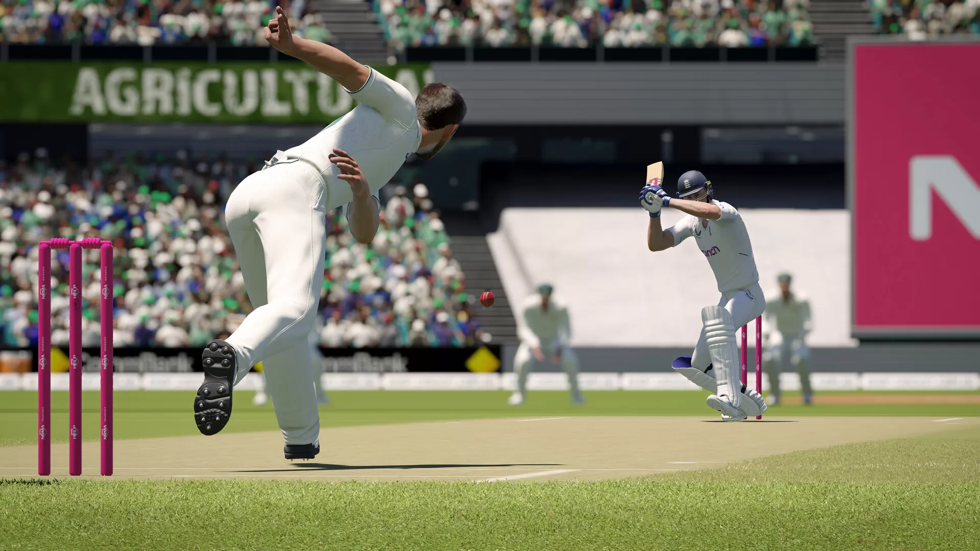 板球24/Cricket 24 板球24/Cricket 24