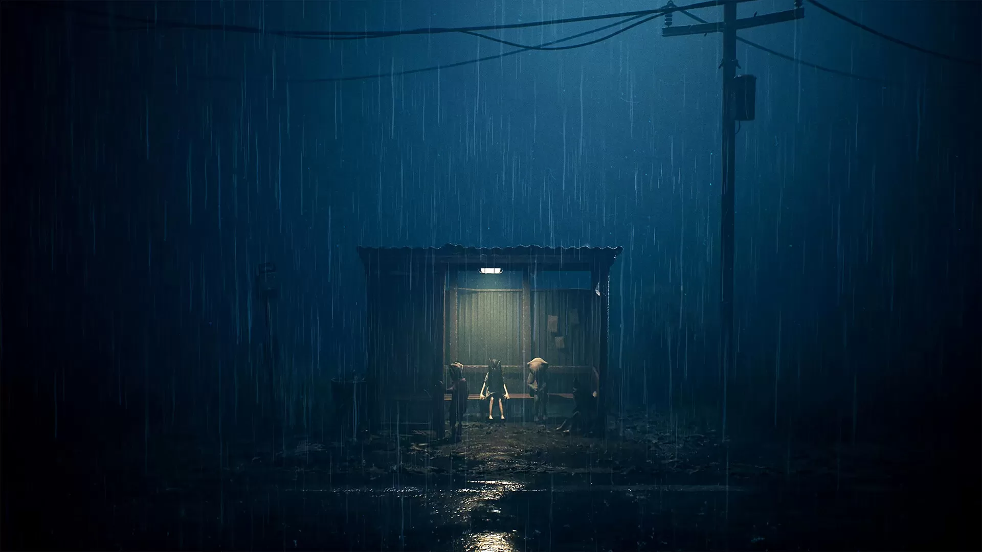生灵重塑/REANIMAL 生灵重塑/REANIMAL