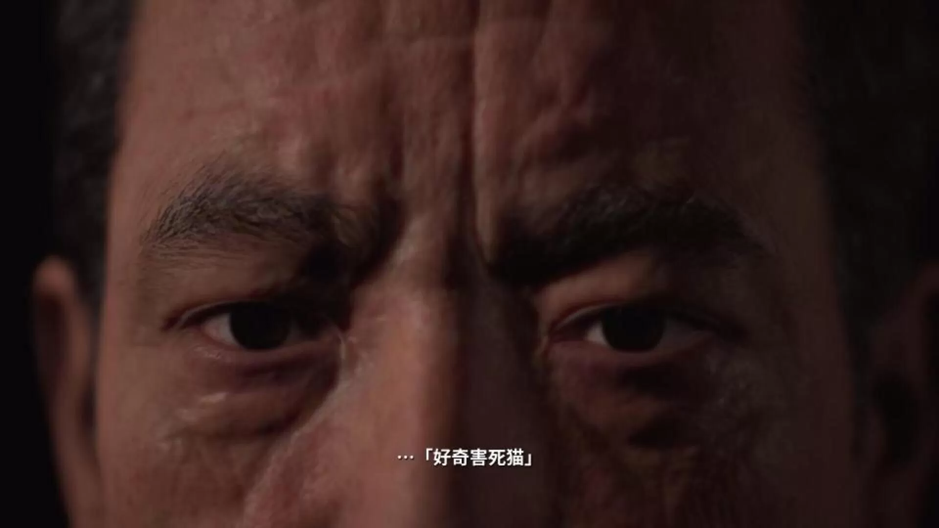 全景监视者/Panopticon