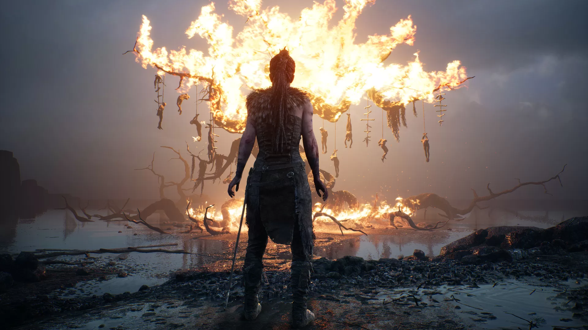 地狱之刃:塞娜的献祭/Hellblade: Senua’s Sacrifice 地狱之刃:塞娜的献祭/Hellblade: Senua’s Sacrifice
