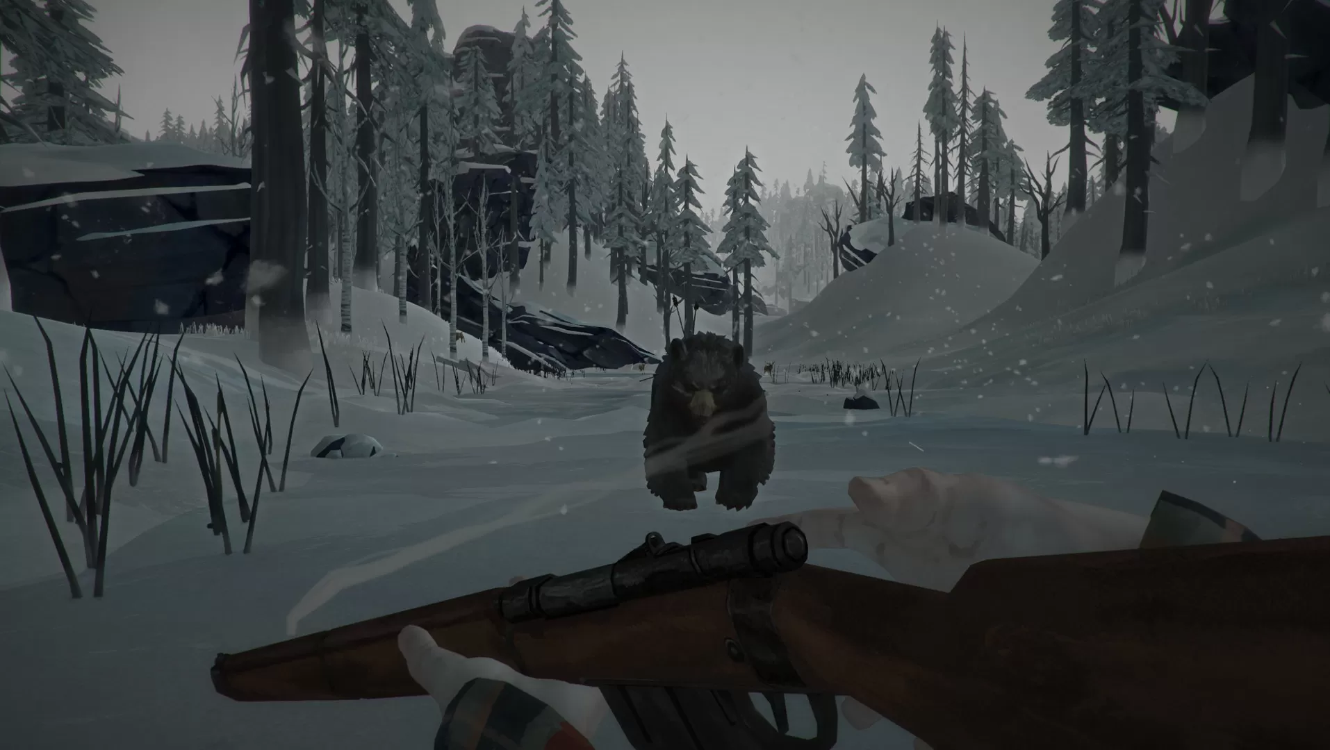 漫漫长夜/The Long Dark 漫漫长夜/The Long Dark