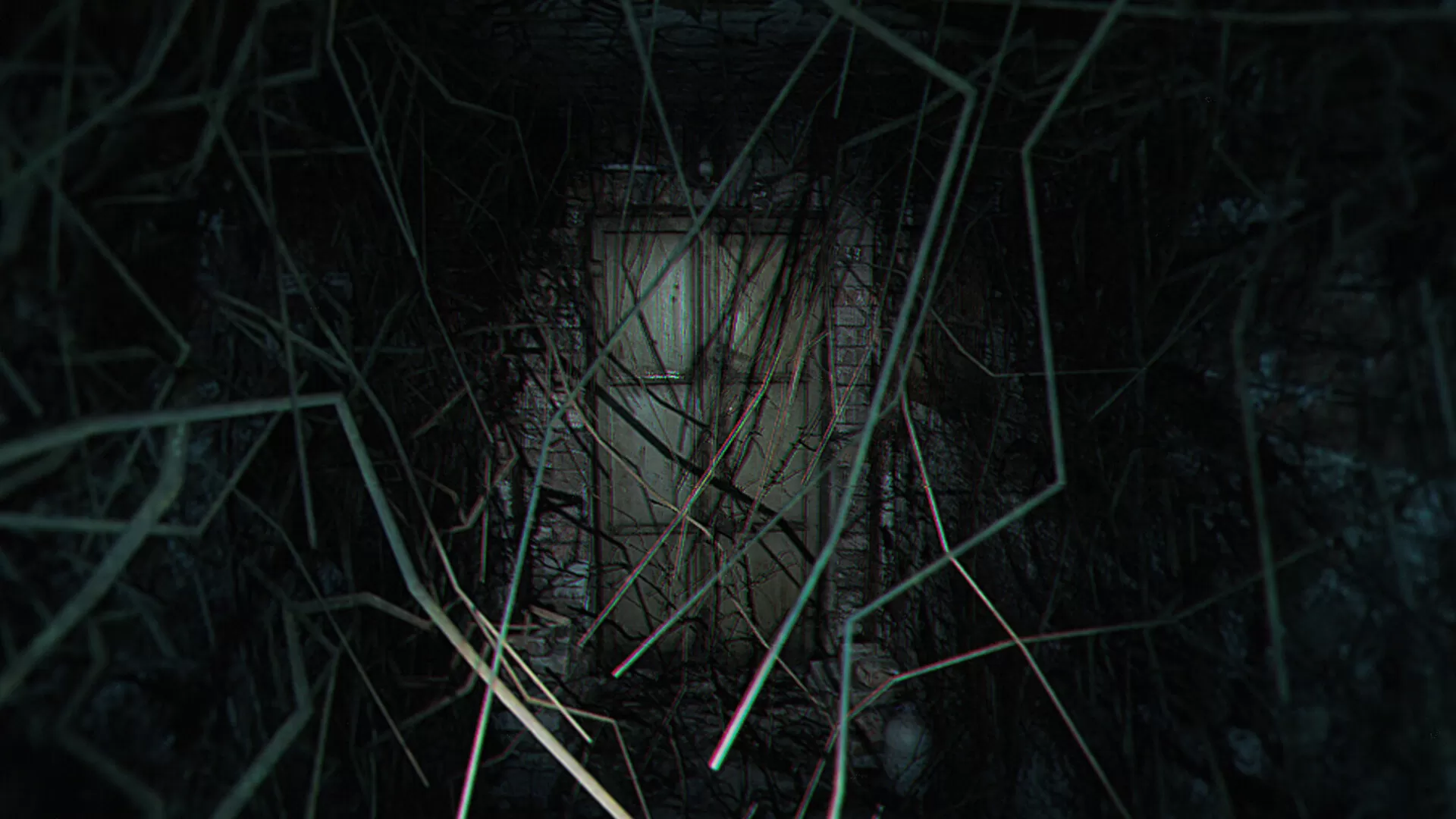 诡异之光/The Strange Lights 诡异之光/The Strange Lights