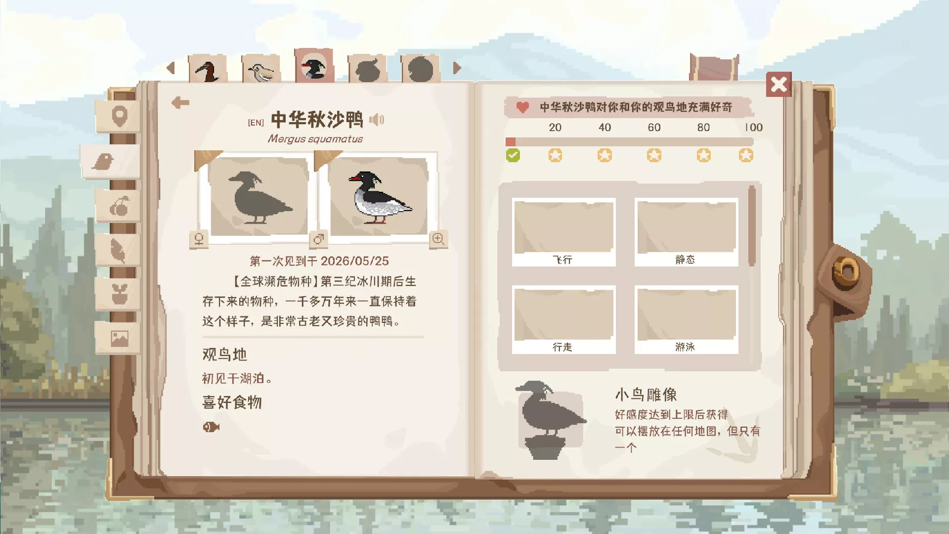 观鸟笔记/Birdwatching Notebook 观鸟笔记/Birdwatching Notebook