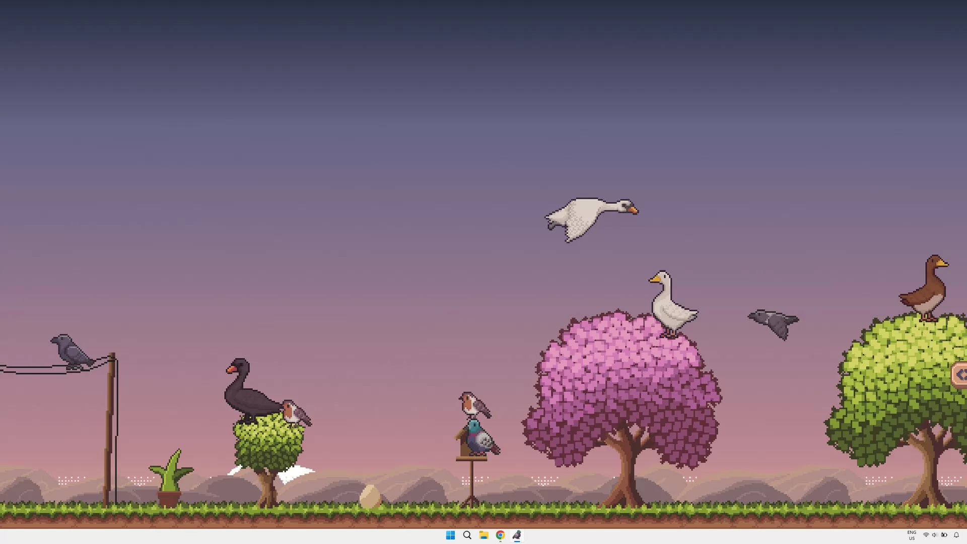 桌面鸟舍:小小鸟陪你摸大鱼/Little Aviary 桌面鸟舍:小小鸟陪你摸大鱼/Little Aviary