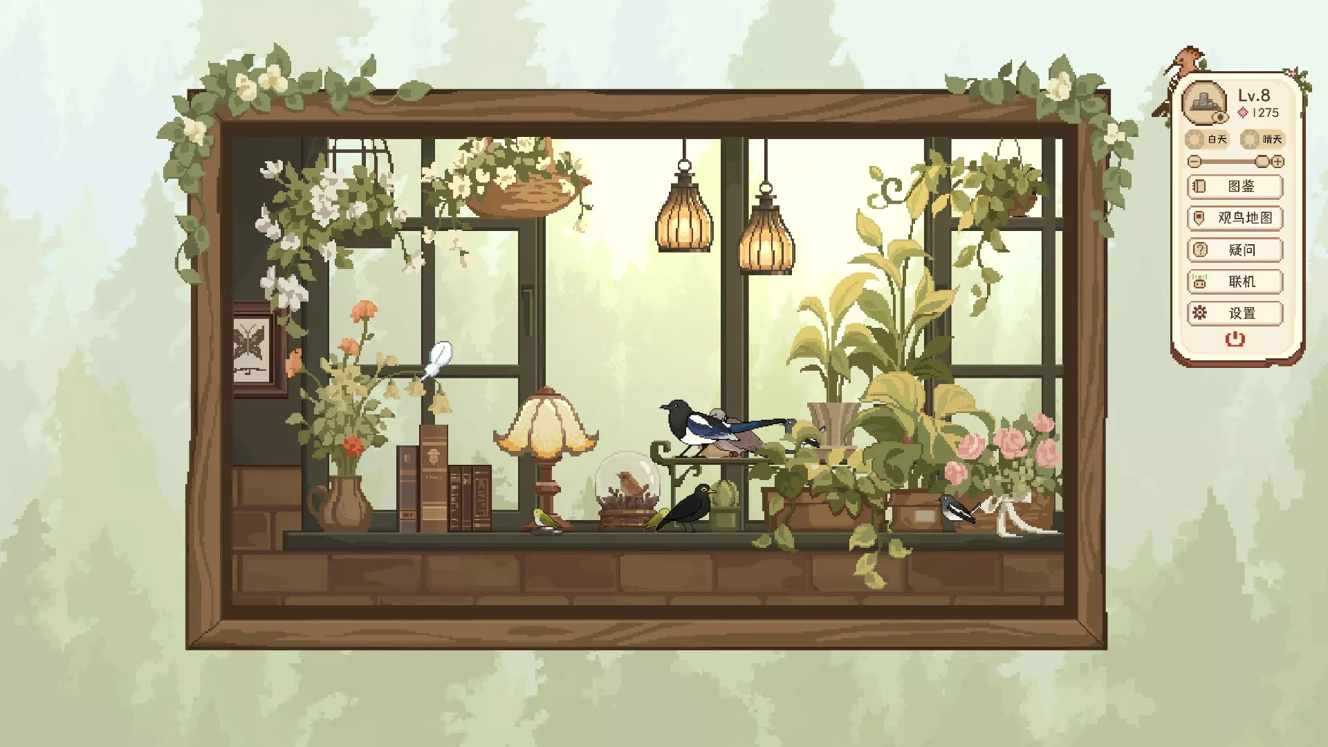 观鸟笔记/Birdwatching Notebook 观鸟笔记/Birdwatching Notebook