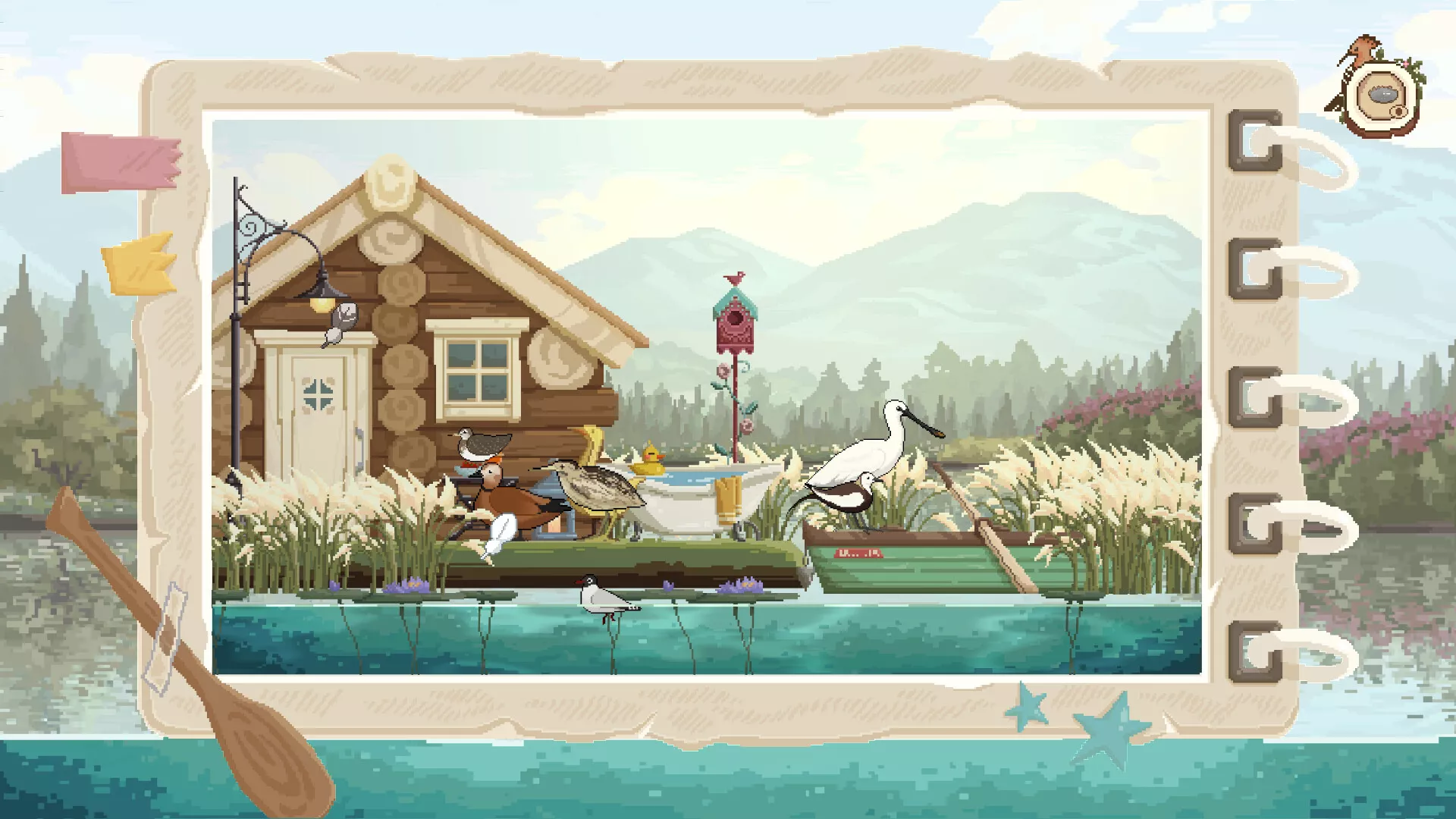 观鸟笔记/Birdwatching Notebook 观鸟笔记/Birdwatching Notebook
