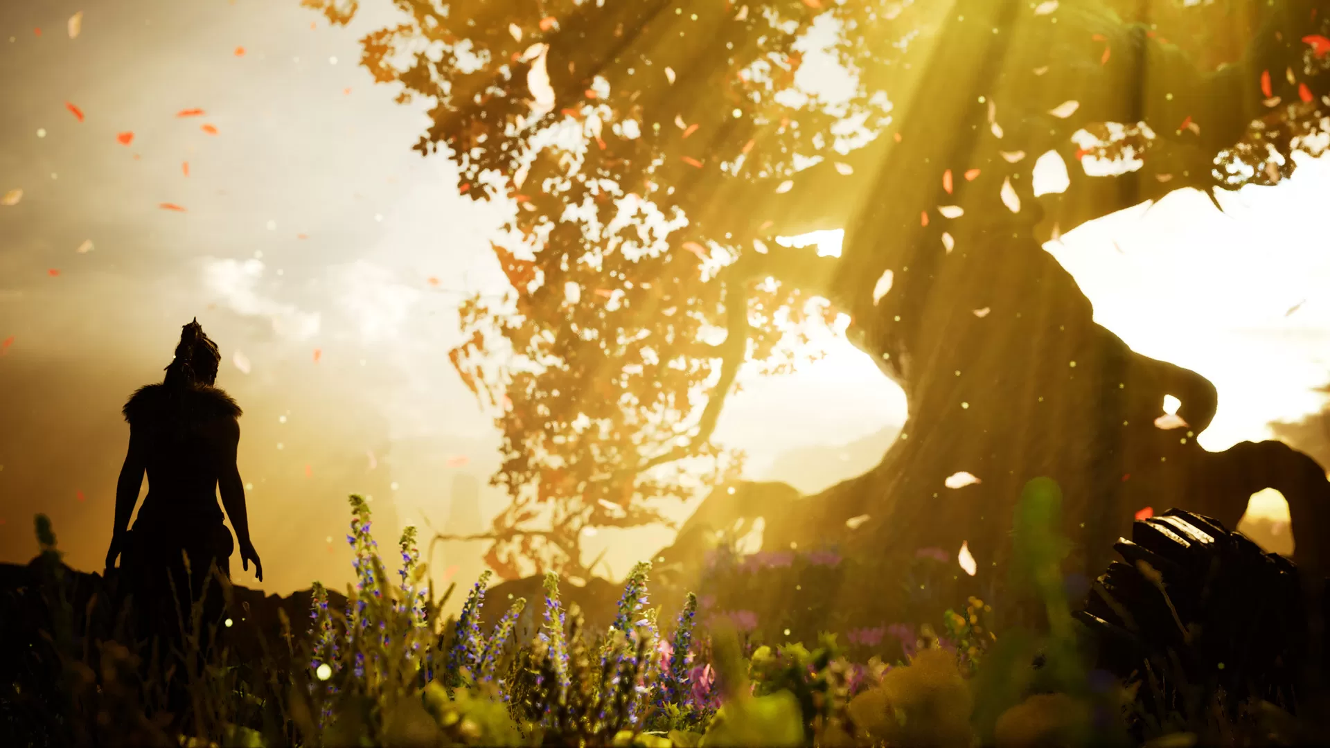 地狱之刃:塞娜的献祭/Hellblade: Senua’s Sacrifice 地狱之刃:塞娜的献祭/Hellblade: Senua’s Sacrifice
