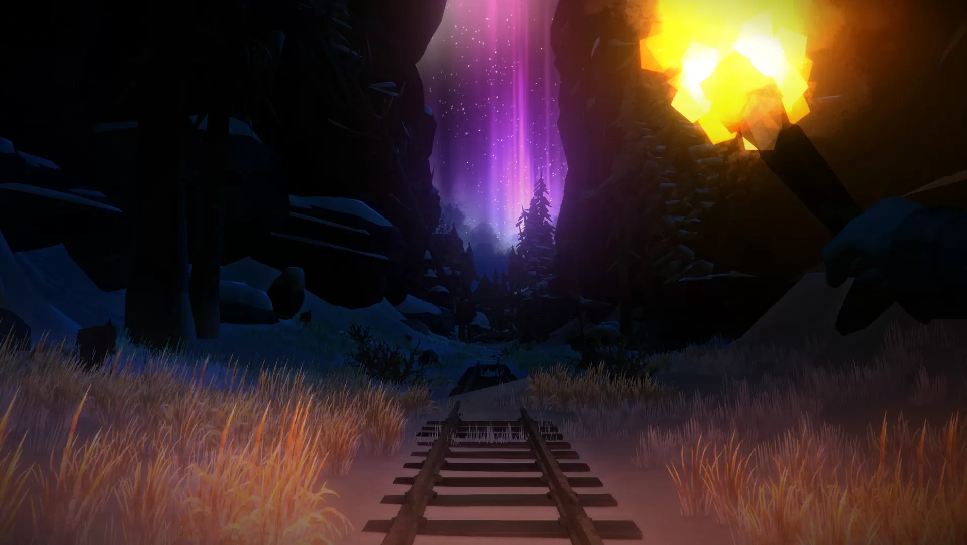 漫漫长夜/The Long Dark 漫漫长夜/The Long Dark